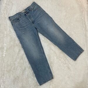 Anthropologie Organic Cotton Everlane Relaxed Straight Button Fly Light Jeans 30